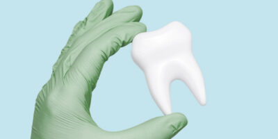 Gloved hand holding white molar tooth